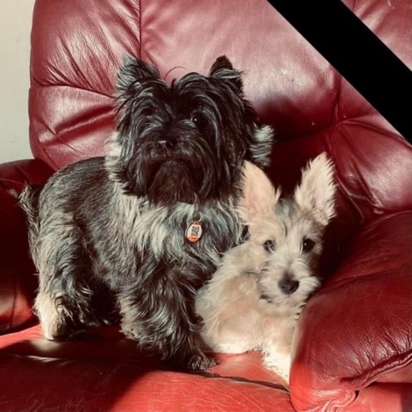 Meet your Posher, Caroline - Picture 1 of 1